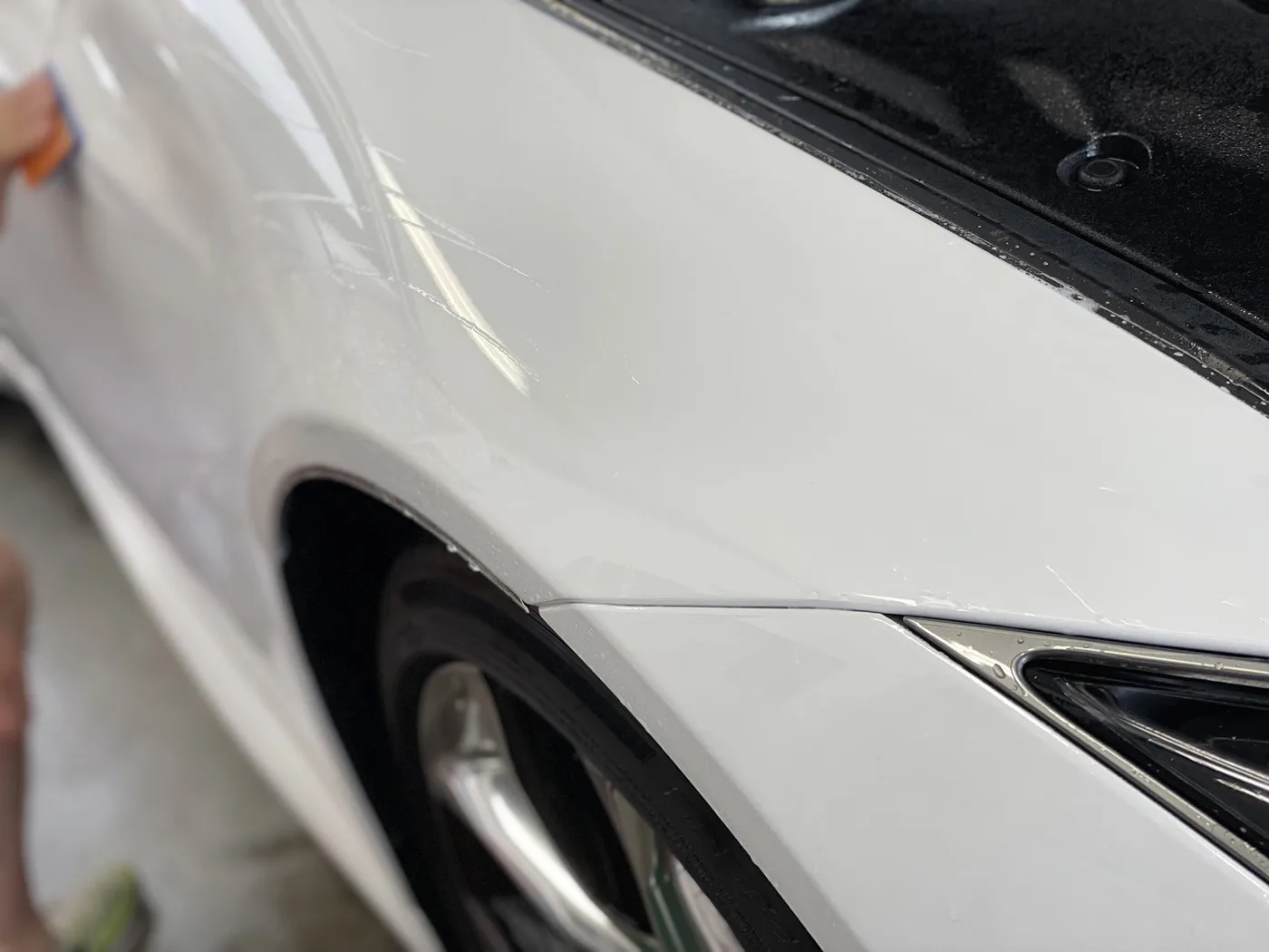 LEXUS LC 500 | PPF Pellicola Antisasso